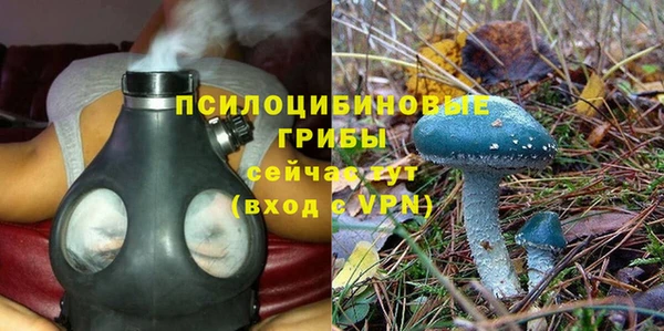 PSILOCYBIN Покровск