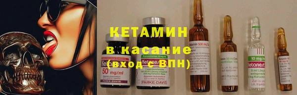 прущие грибы Абаза