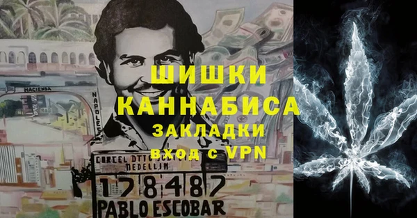 прущие грибы Абаза