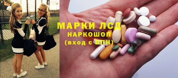 прущие грибы Абаза
