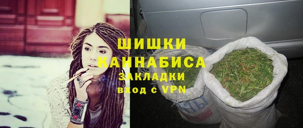 прущие грибы Абаза