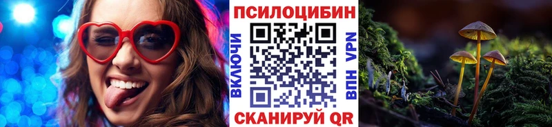 дарнет шоп  Торопец  Галлюциногенные грибы ЛСД 